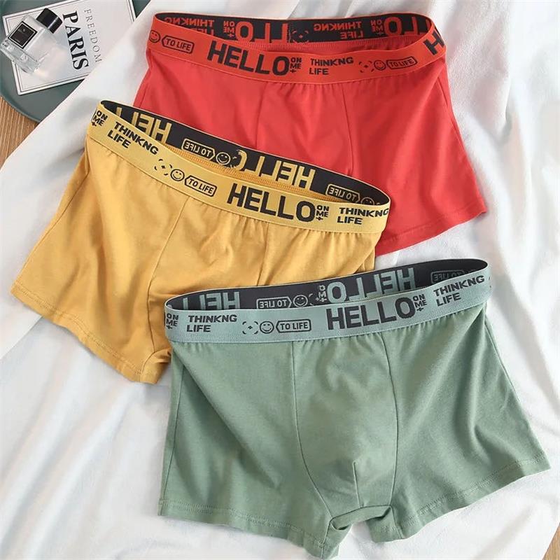 10 pezzi/intimo da uomo uomo m - Boxer Brief Pack Cotton recensione e prezzo